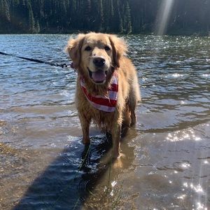 Meet your Posher, Jane